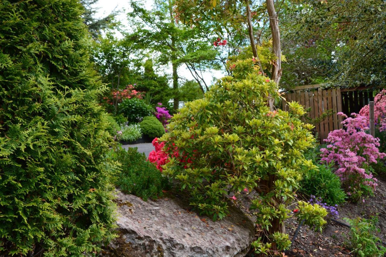 The Grove Lodge Guesthouse Killorglin Extérieur photo