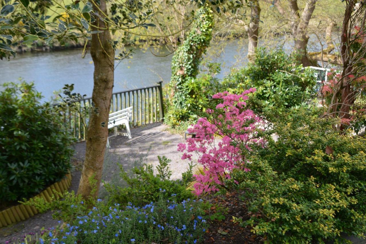 The Grove Lodge Guesthouse Killorglin Extérieur photo
