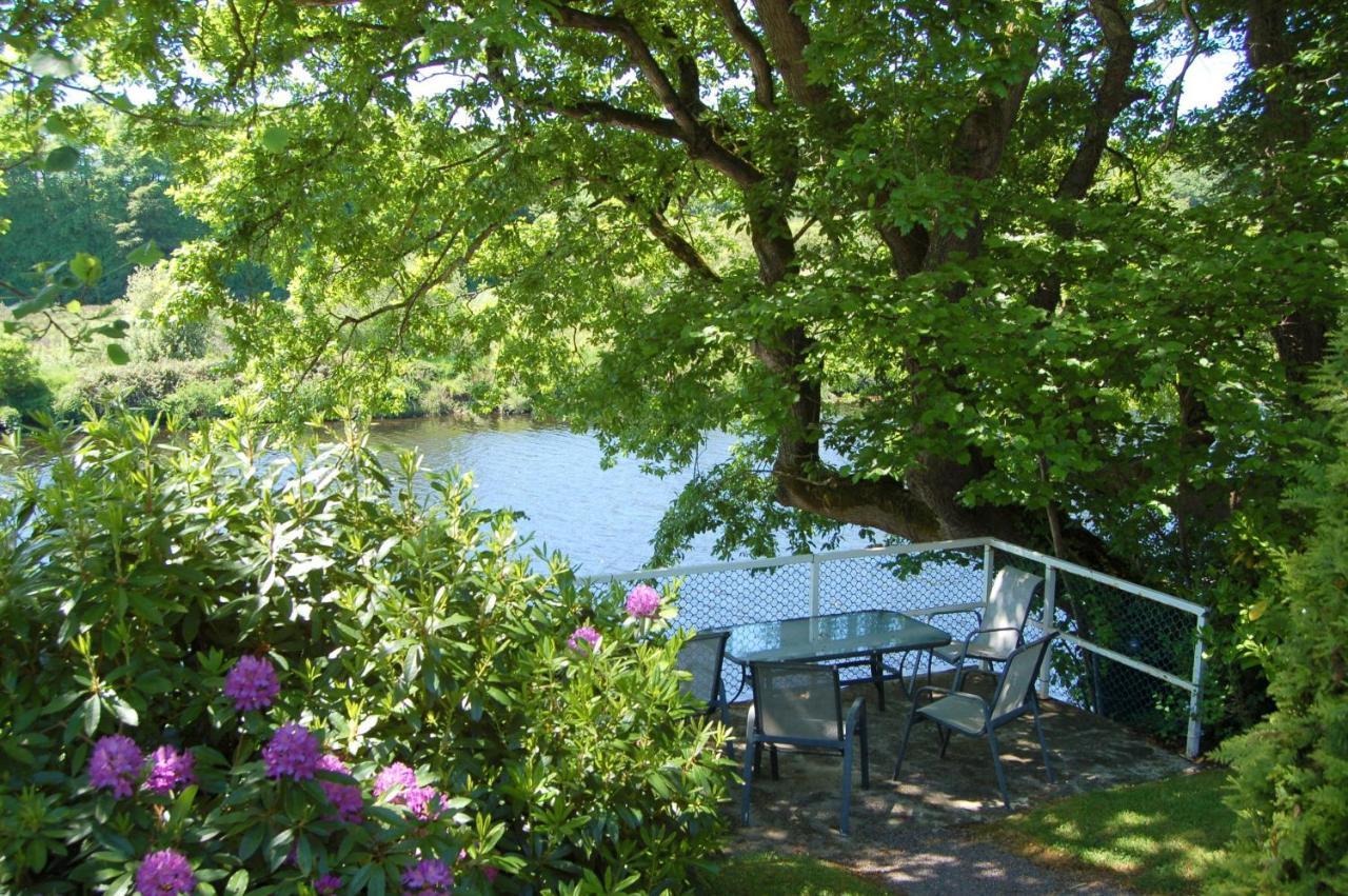 The Grove Lodge Guesthouse Killorglin Extérieur photo