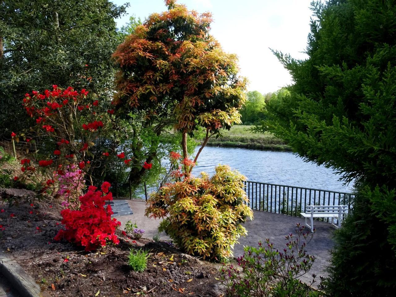 The Grove Lodge Guesthouse Killorglin Extérieur photo